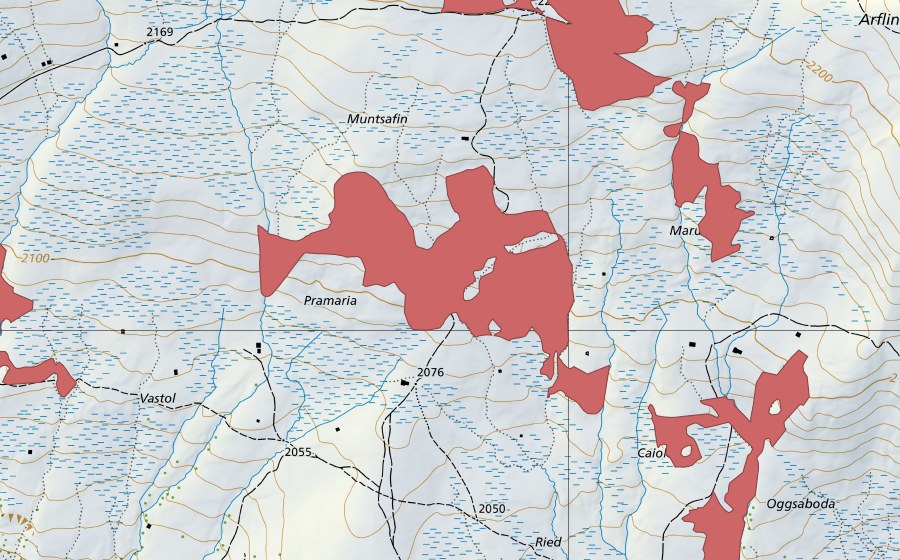 Landeskarte swisstopo mit dem Schutzperimeter von Ried (Trockenwiese)