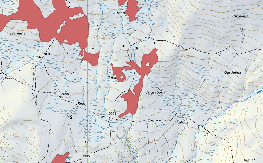 Landeskarte swisstopo mit dem Schutzperimeter von Ried (Trockenwiese)