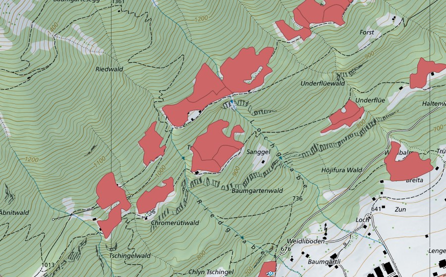 Carte nationale swisstopo avec le périmètre protégé de Ried (Prairie sèche)