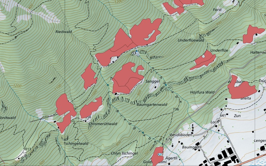swisstopo national map showing the protected perimeter of Ried (Dry meadow)