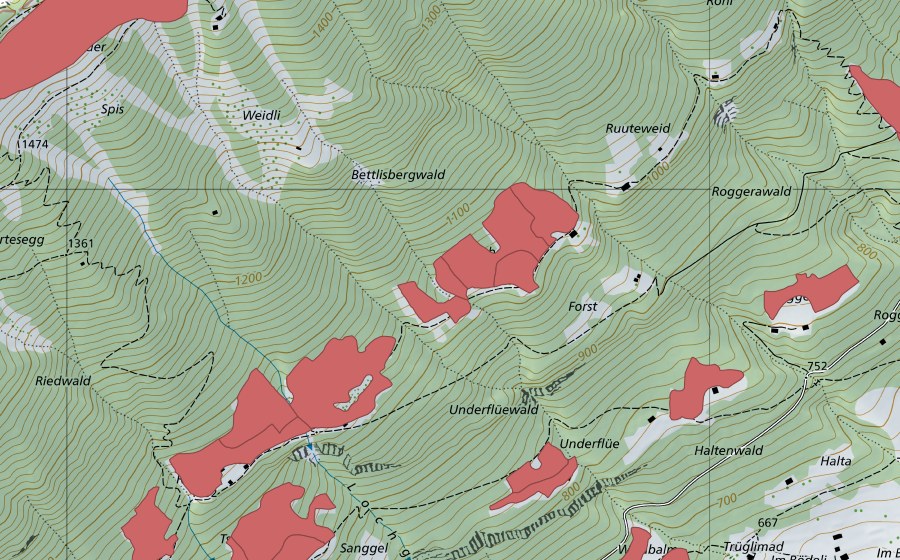 Landeskarte swisstopo mit dem Schutzperimeter von Ried (Trockenwiese)