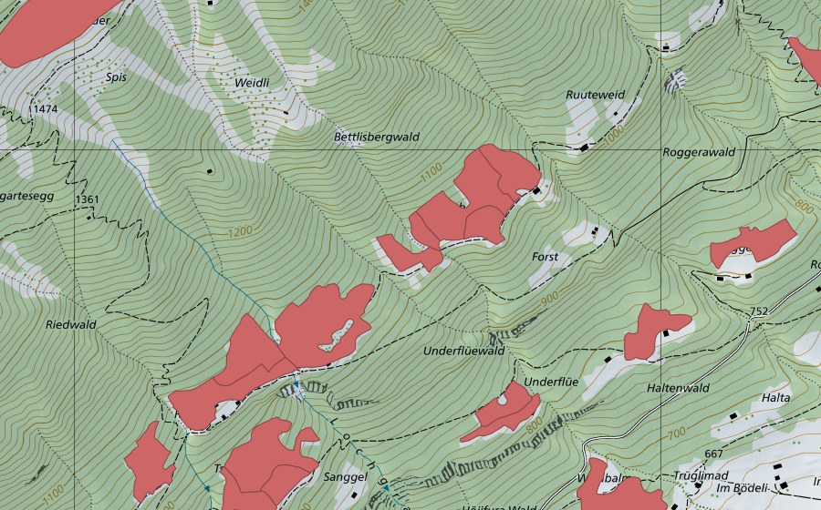 swisstopo national map showing the protected perimeter of Ried (Dry meadow)
