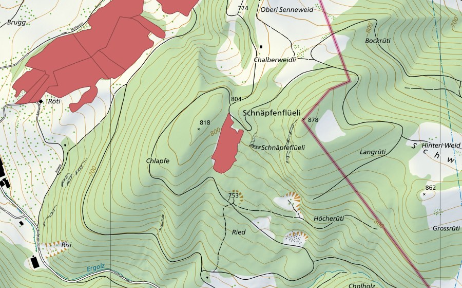 Carte nationale swisstopo avec le périmètre protégé de Ried (Prairie sèche)