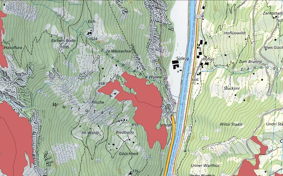 Landeskarte swisstopo mit dem Schutzperimeter von Riedbode (Trockenwiese)