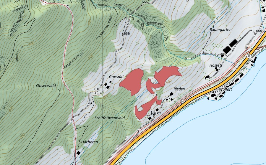 Carte nationale swisstopo avec le périmètre protégé de Rieden (Prairie sèche)