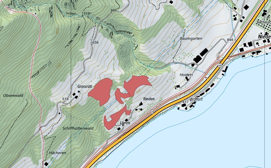 Landeskarte swisstopo mit dem Schutzperimeter von Rieden (Trockenwiese)