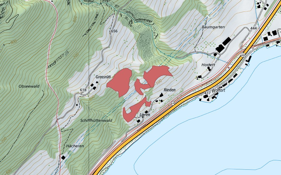 Carte nationale swisstopo avec le périmètre protégé de Rieden (Prairie sèche)