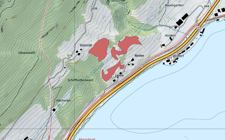 Carte nationale swisstopo avec le périmètre protégé de Rieden (Prairie sèche)