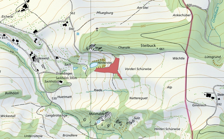 Carte nationale swisstopo avec le périmètre protégé de Rieden (Prairie sèche)