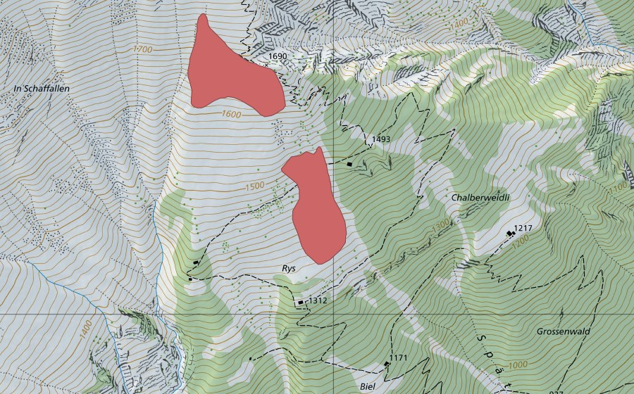 swisstopo national map showing the protected perimeter of Rieder (Dry meadow)