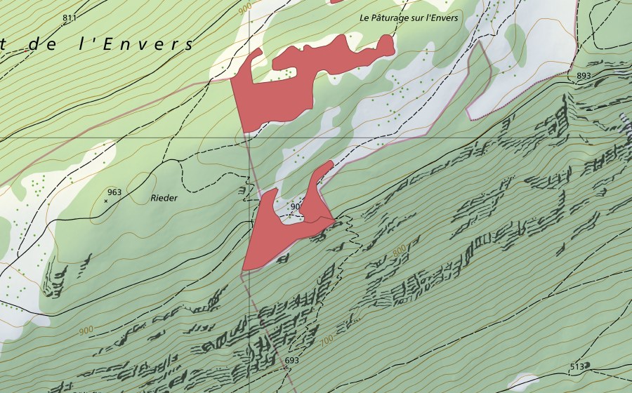 Landeskarte swisstopo mit dem Schutzperimeter von Rieder (Trockenwiese)