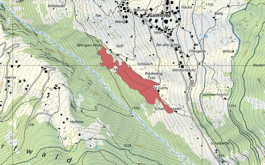 swisstopo national map showing the protected perimeter of Riedwäng (Dry meadow)