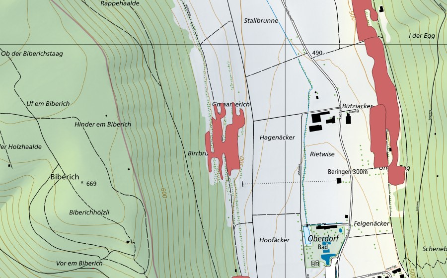 Carte nationale swisstopo avec le périmètre protégé de Rietwisen (Prairie sèche)
