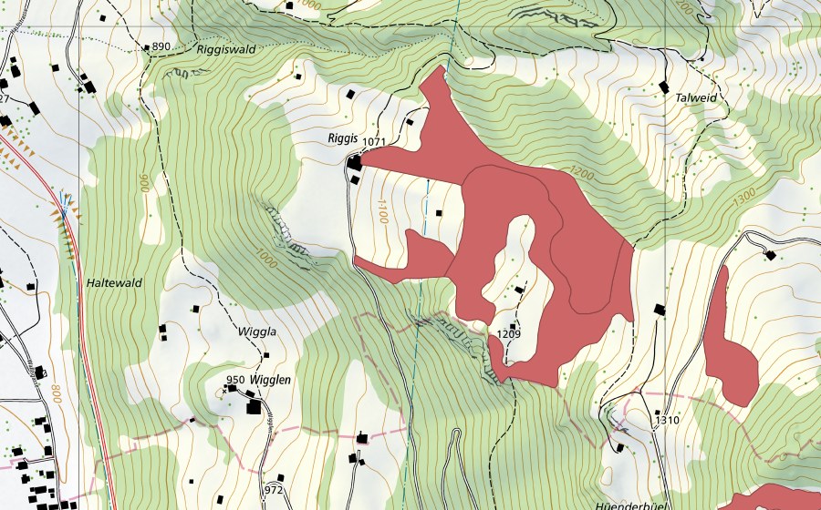 Carte nationale swisstopo avec le périmètre protégé de Riggis (Prairie sèche)