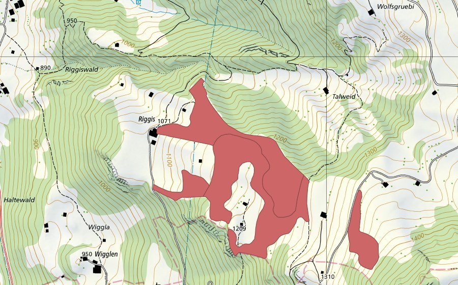 Landeskarte swisstopo mit dem Schutzperimeter von Riggis (Trockenwiese)