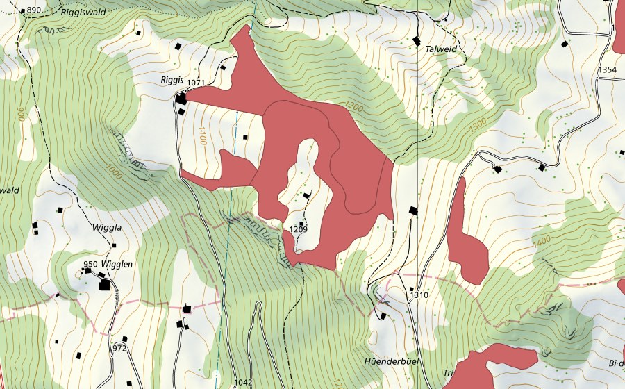 swisstopo national map showing the protected perimeter of Riggis (Dry meadow)