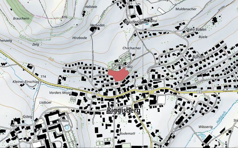 swisstopo national map showing the protected perimeter of Riggisberg (Dry meadow)