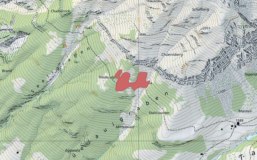 swisstopo national map showing the protected perimeter of Rinderalp (Dry meadow)
