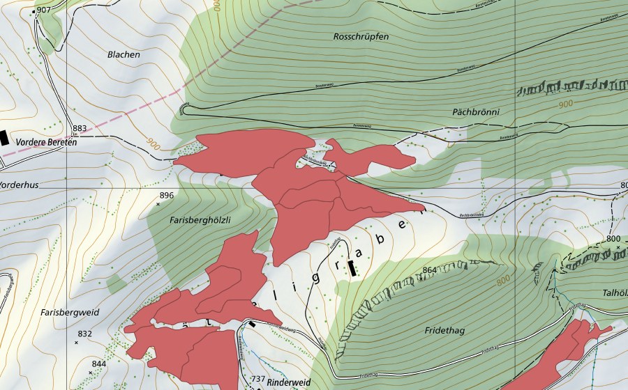 Carte nationale swisstopo avec le périmètre protégé de Rinderweid (Prairie sèche)