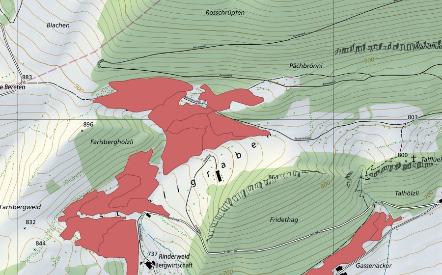 Landeskarte swisstopo mit dem Schutzperimeter von Rinderweid (Trockenwiese)
