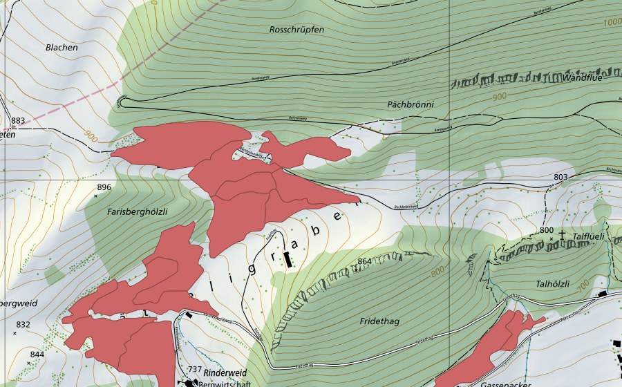Carta nazionale swisstopo con il perimetro protetto di Rinderweid (Prato secco)