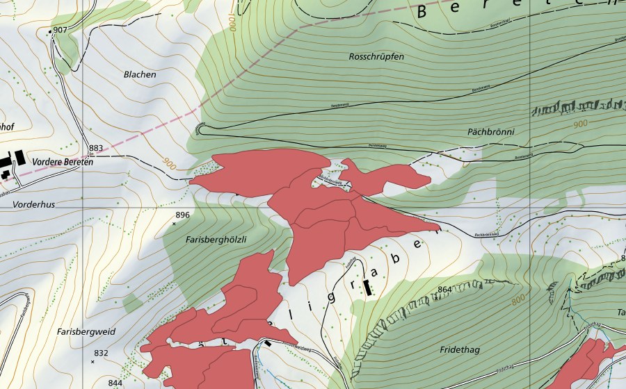 Carte nationale swisstopo avec le périmètre protégé de Rinderweid (Prairie sèche)