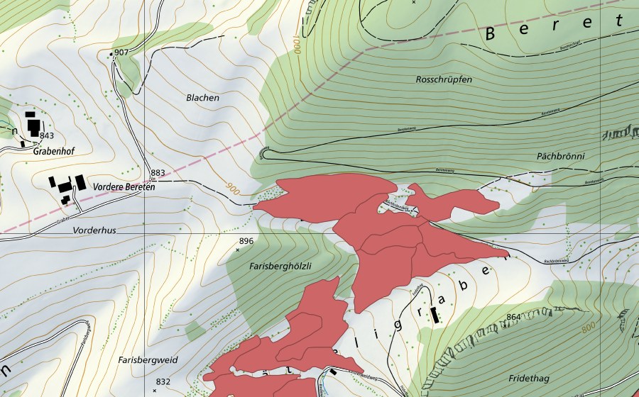 Carta nazionale swisstopo con il perimetro protetto di Rinderweid (Prato secco)