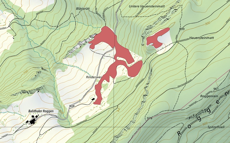Landeskarte swisstopo mit dem Schutzperimeter von Rinderweid (Trockenwiese)