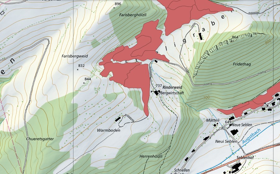 swisstopo national map showing the protected perimeter of Rinderweid (Dry meadow)