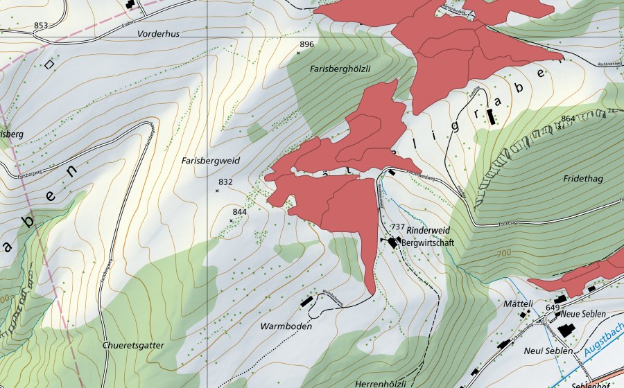Landeskarte swisstopo mit dem Schutzperimeter von Rinderweid (Trockenwiese)