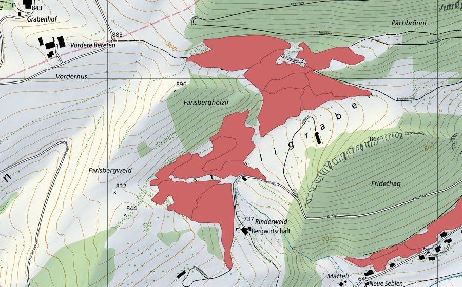swisstopo national map showing the protected perimeter of Rinderweid (Dry meadow)