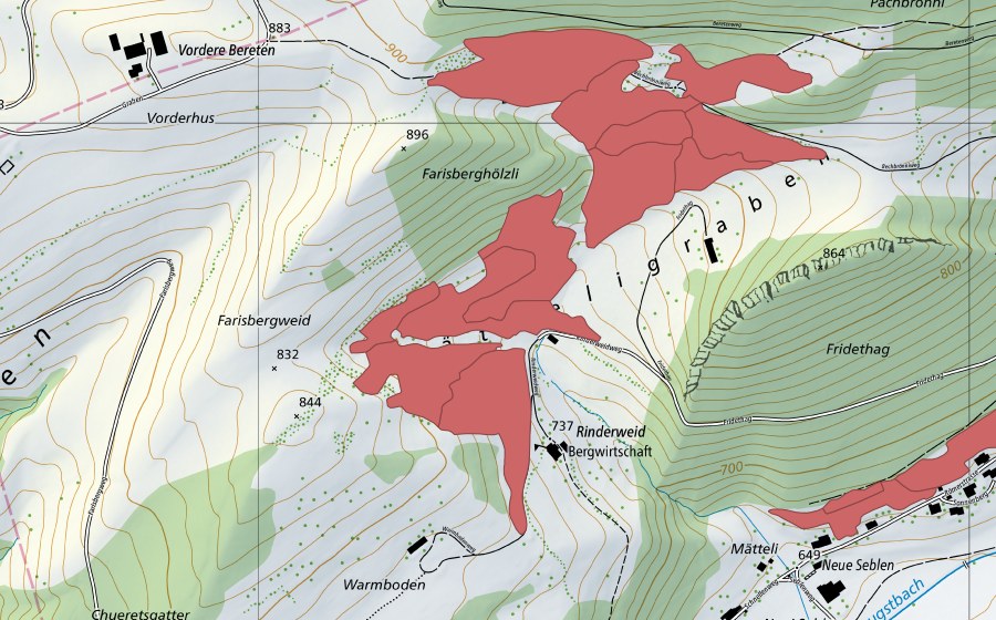 Carta nazionale swisstopo con il perimetro protetto di Rinderweid (Prato secco)