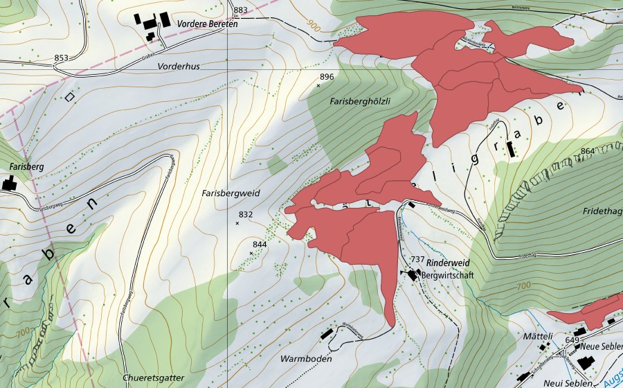 Landeskarte swisstopo mit dem Schutzperimeter von Rinderweid (Trockenwiese)
