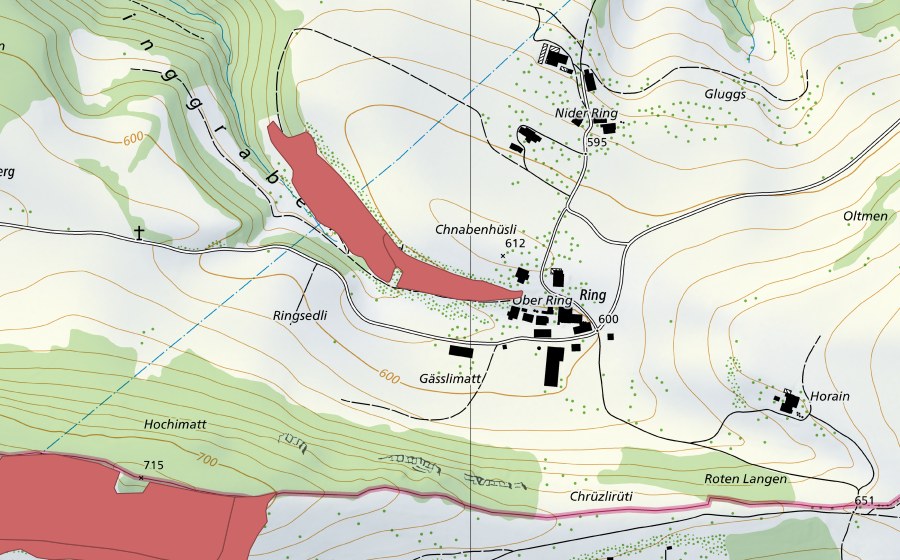 Landeskarte swisstopo mit dem Schutzperimeter von Ring (Trockenwiese)