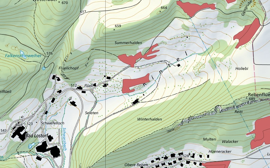 swisstopo national map showing the protected perimeter of Rintel (Dry meadow)