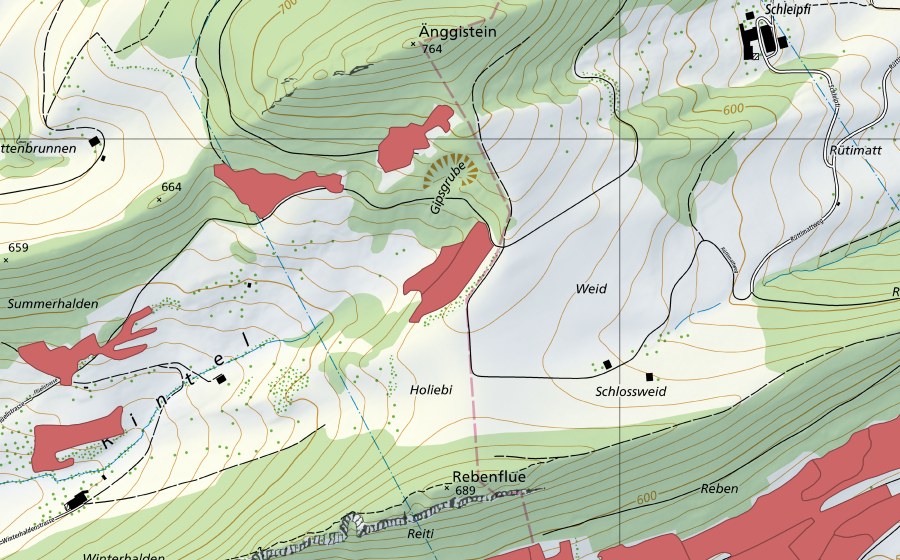 swisstopo national map showing the protected perimeter of Rintel (Dry meadow)