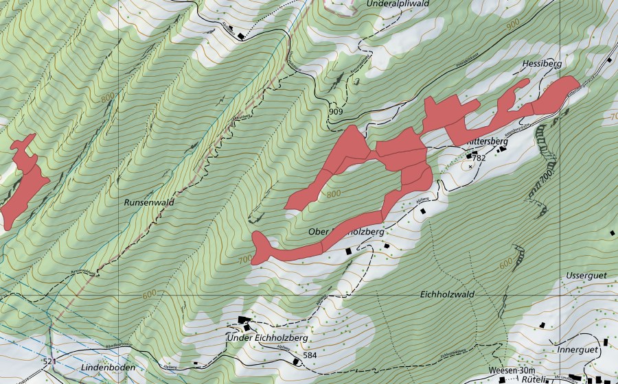 Landeskarte swisstopo mit dem Schutzperimeter von Rittersberg (Trockenwiese)