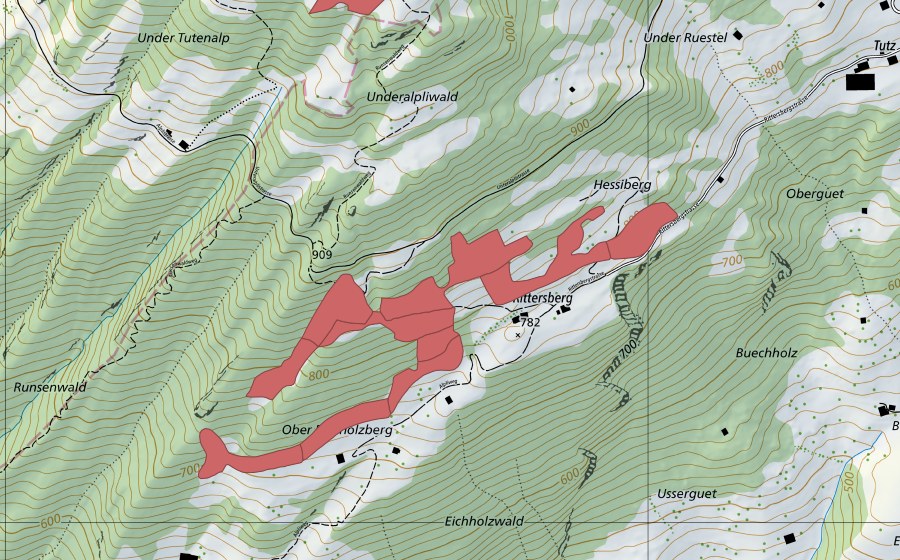 Landeskarte swisstopo mit dem Schutzperimeter von Rittersberg (Trockenwiese)
