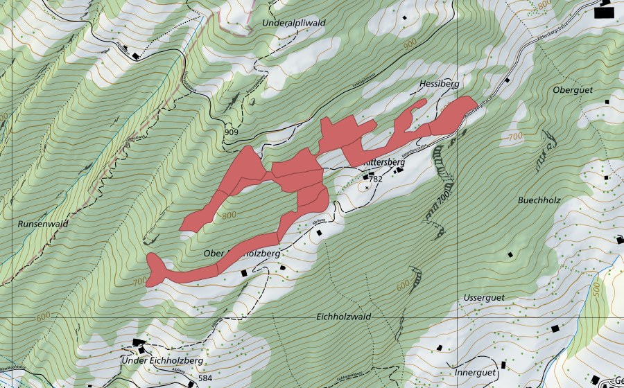 swisstopo national map showing the protected perimeter of Rittersberg (Dry meadow)