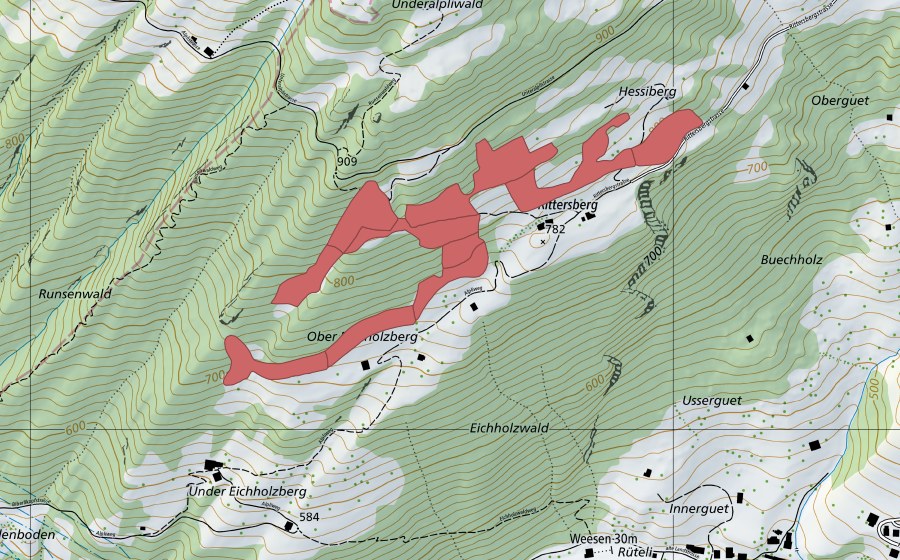 Carta nazionale swisstopo con il perimetro protetto di Rittersberg (Prato secco)