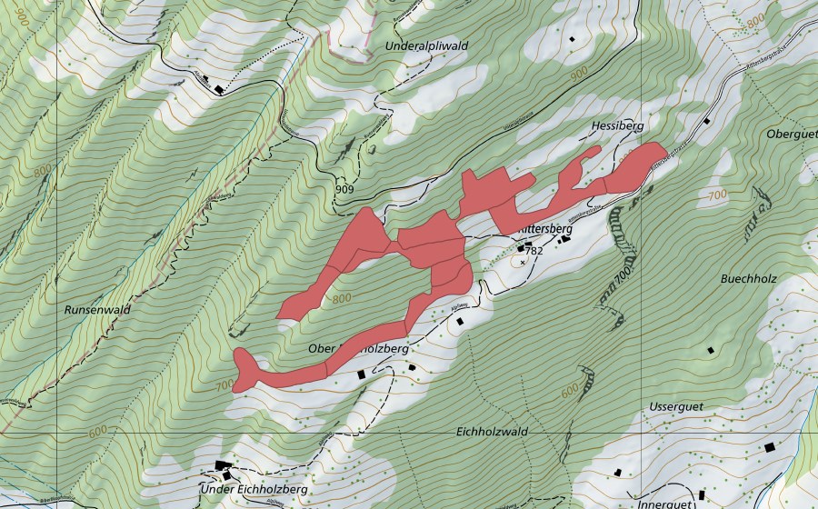 Landeskarte swisstopo mit dem Schutzperimeter von Rittersberg (Trockenwiese)