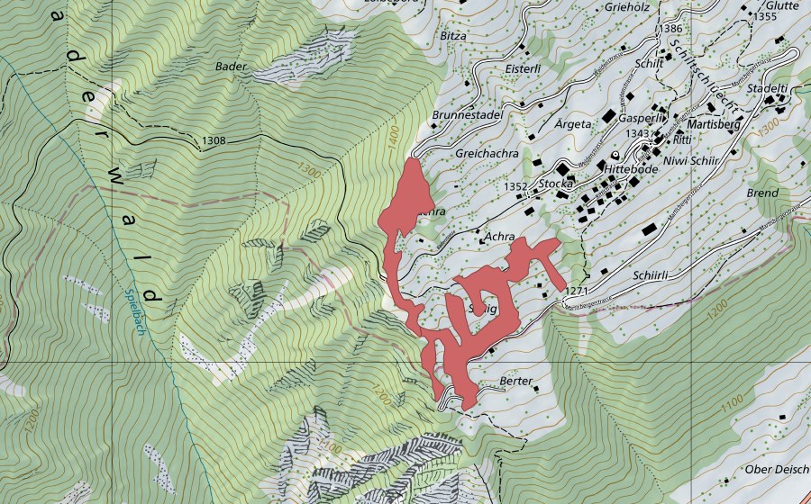 swisstopo national map showing the protected perimeter of Ritti (Dry meadow)