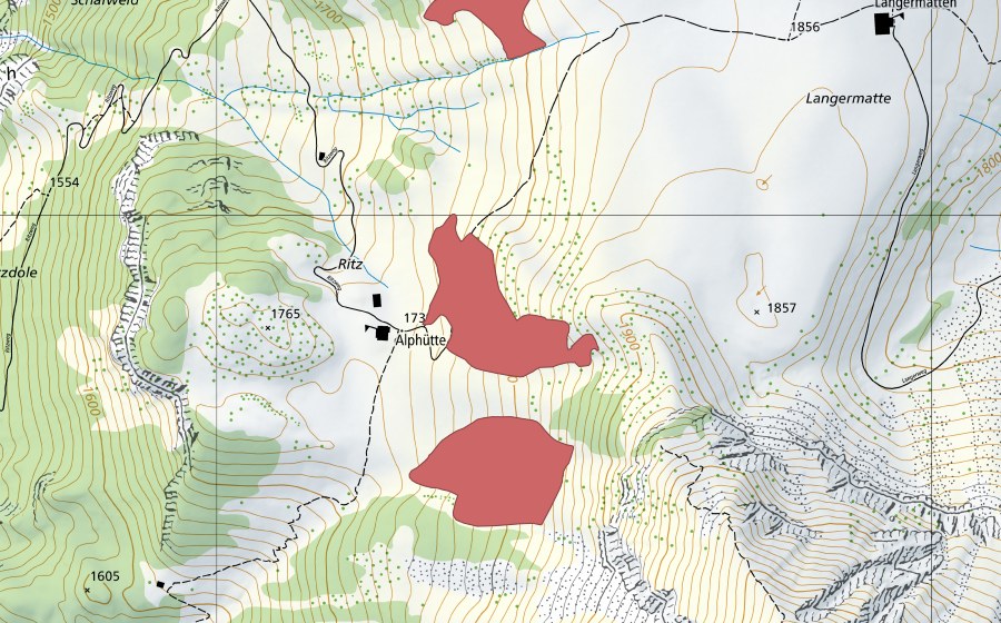 swisstopo national map showing the protected perimeter of Ritz (Dry meadow)