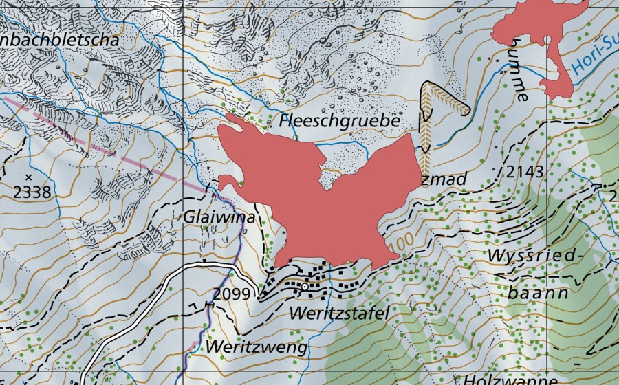 swisstopo national map showing the protected perimeter of Ritzmad (Dry meadow)