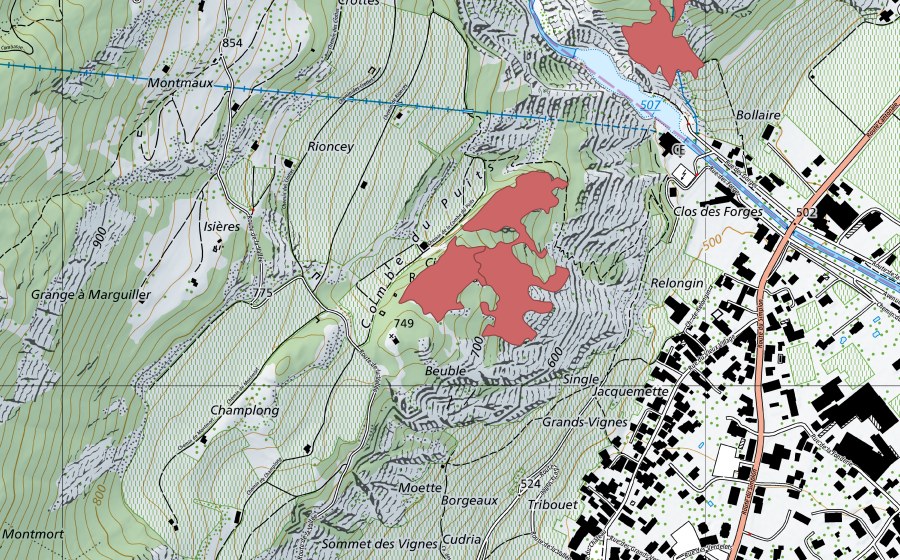 Carte nationale swisstopo avec le périmètre protégé de Rne du Chât. du Crest (Prairie sèche)