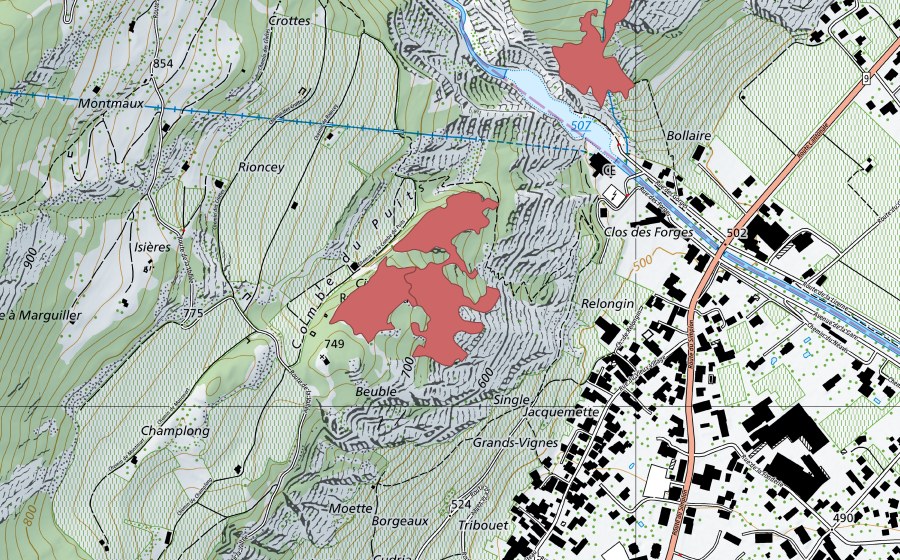 Landeskarte swisstopo mit dem Schutzperimeter von Rne du Chât. du Crest (Trockenwiese)