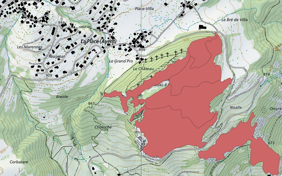 swisstopo national map showing the protected perimeter of Rnes du Chât. d'Ayent (Dry meadow)