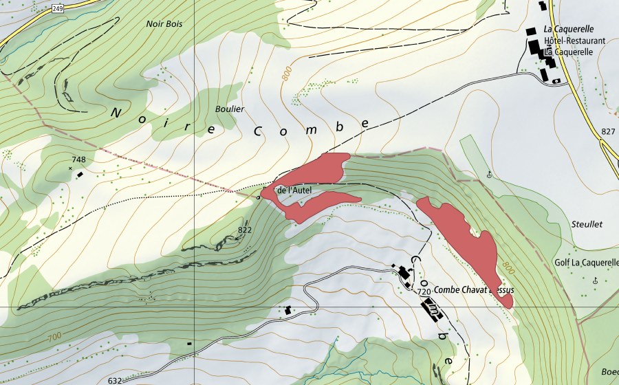 Landeskarte swisstopo mit dem Schutzperimeter von Roc de l'Autel (Trockenwiese)
