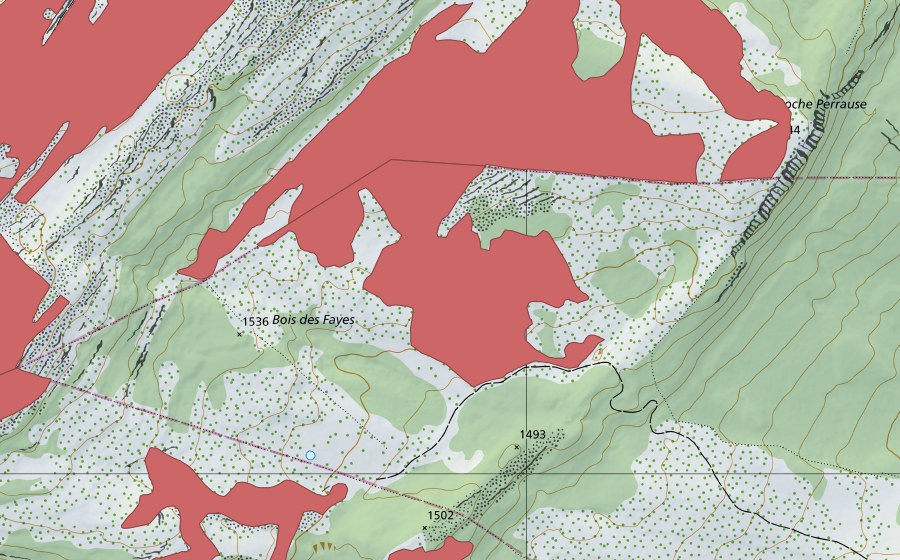 Landeskarte swisstopo mit dem Schutzperimeter von Roche Perrause (Trockenwiese)