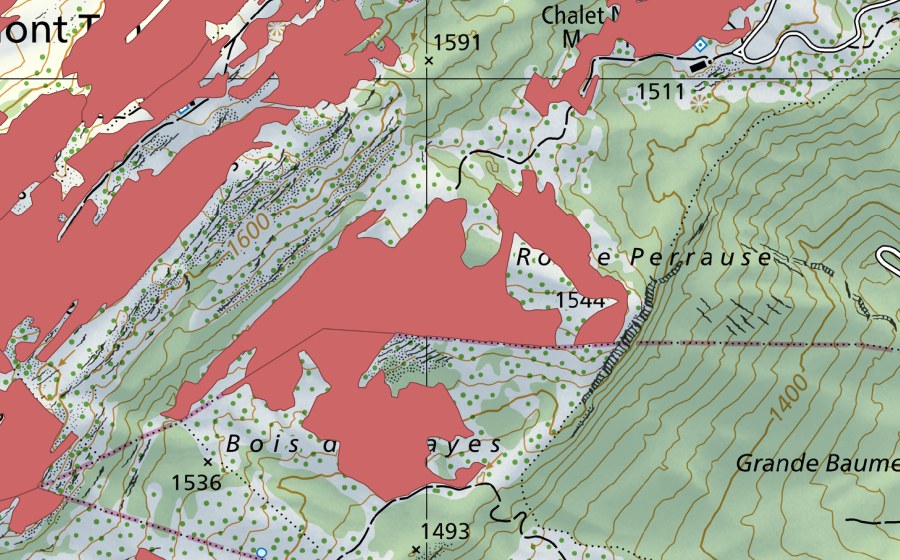 Landeskarte swisstopo mit dem Schutzperimeter von Roche Perrause (Trockenwiese)